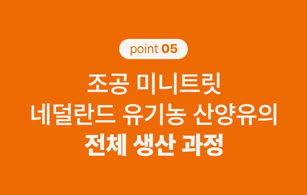 조공 네덜란드 산양유 미니트릿 65g 24번째