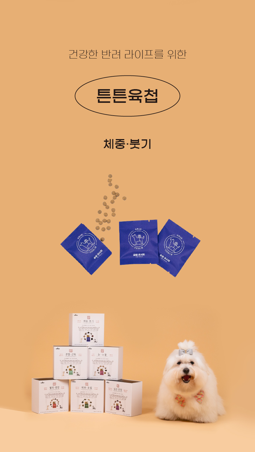 [NEW신상][무료배송] 이프애니멀 튼튼육첩 체중붓기 93g (30포) 10번째