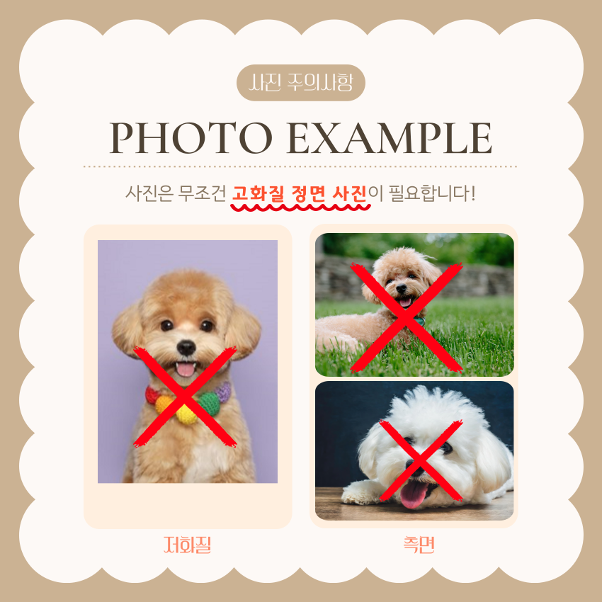 [NEW신상][무료배송] 온온펫 몽글체리 커스텀 핸즈메이드 키링 인식표 8번째