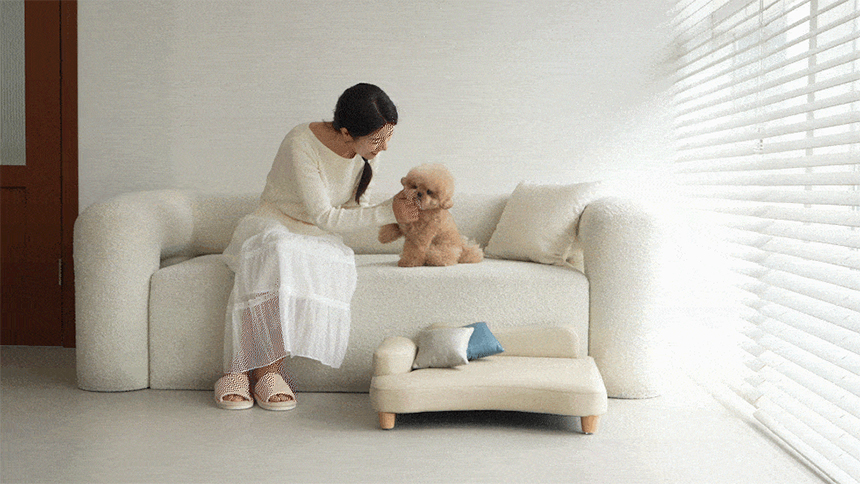 [NEW신상][무료배송] 다니펫 루시드 높낮이 조절 논슬립 펫 소파 (크림치즈/아보카도) 16번째