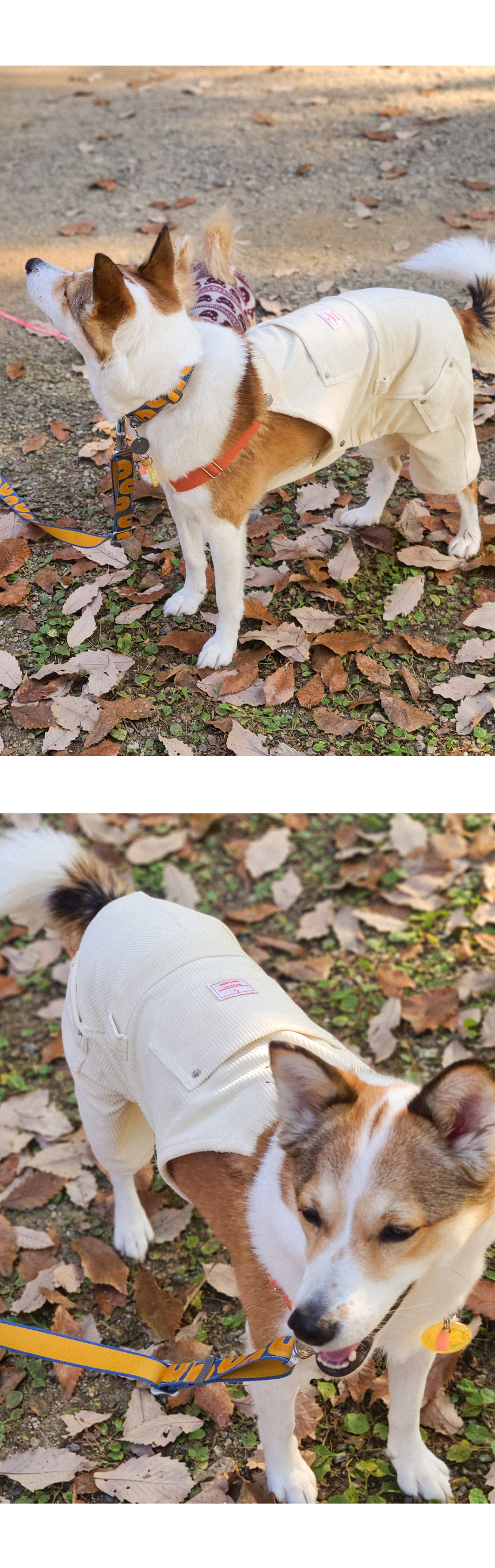 [무료배송] 꾸무꾸지 코듀로이 오버롤 아이보리 M-7XL 4번째
