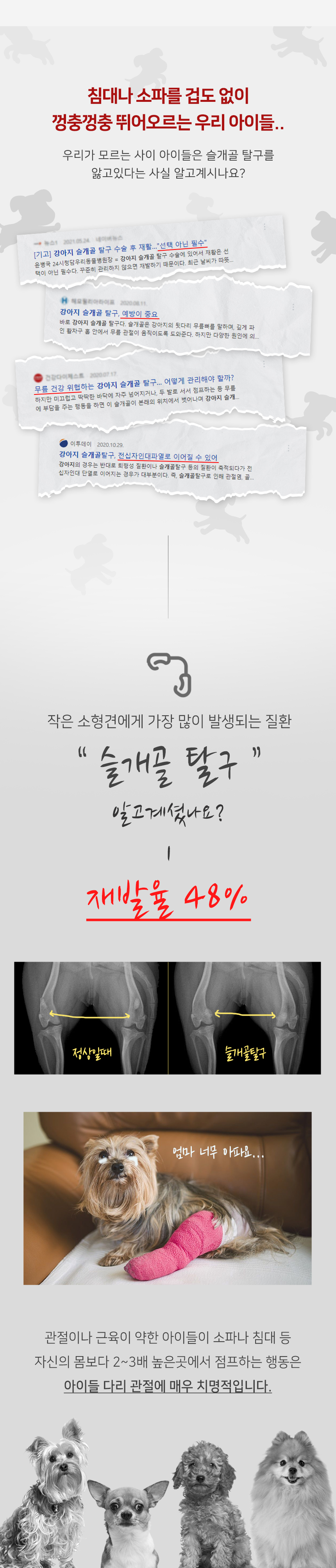 [무료배송] 초코펫하우스 선인장랜드 3단 스텝 아이보리/블랙 2번째