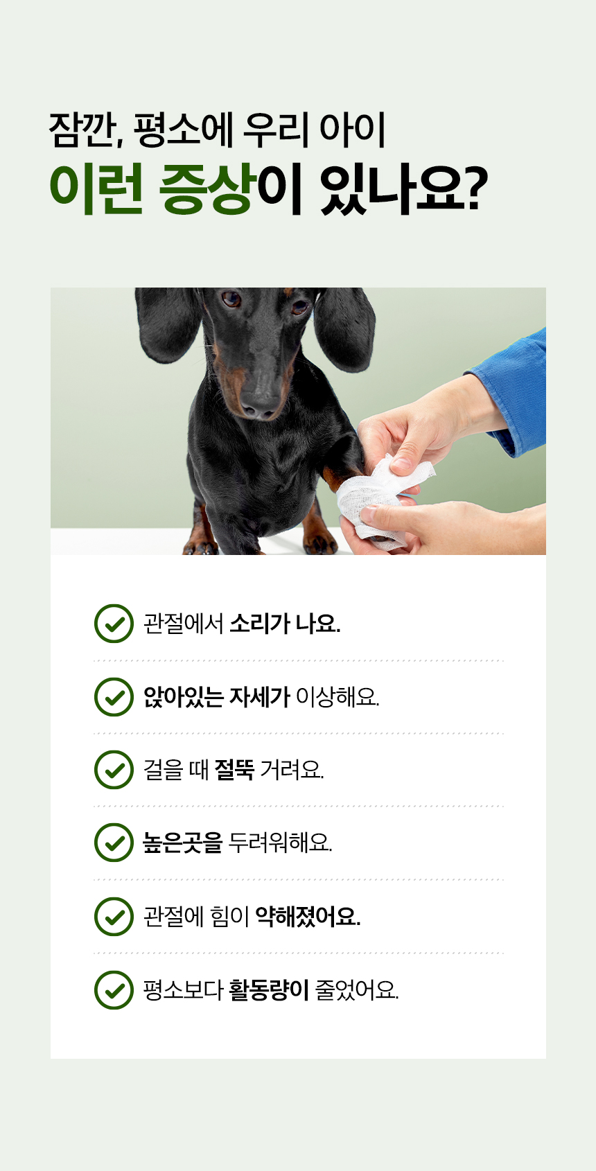 [무료배송] 목우촌 펫9단 독 바이오조인트 뼈 관절 영양제 100g 3번째