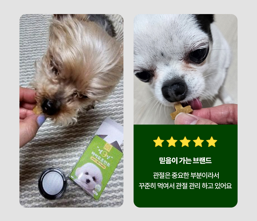 [무료배송] 목우촌 펫9단 독 바이오조인트 뼈 관절 영양제 100g 9번째