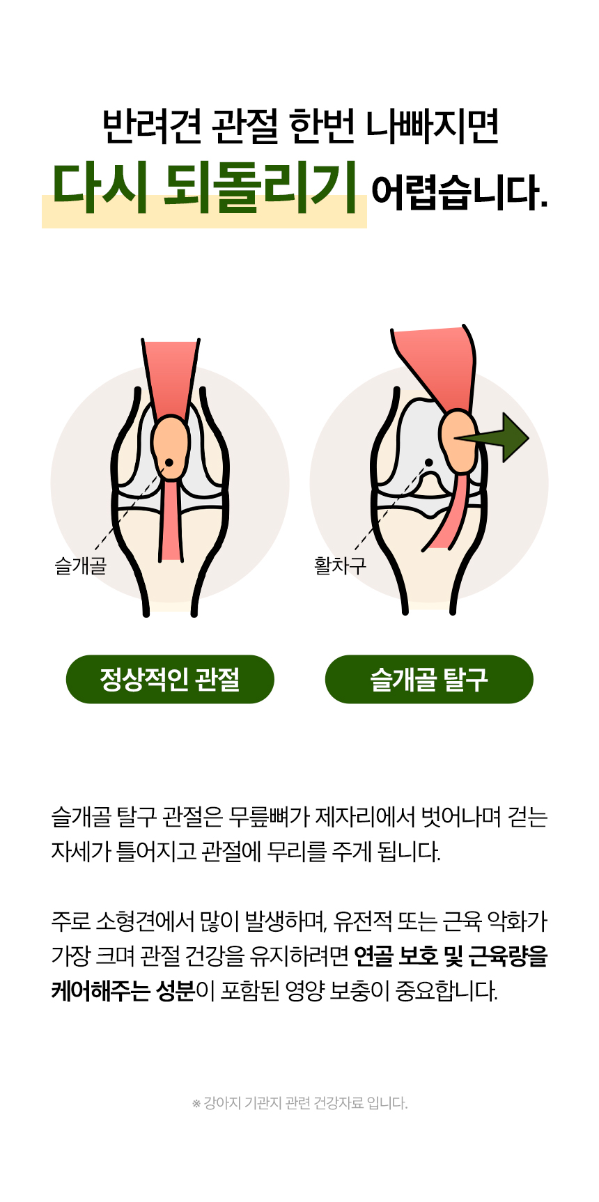 [무료배송] 목우촌 펫9단 독 바이오조인트 뼈 관절 영양제 100g 4번째