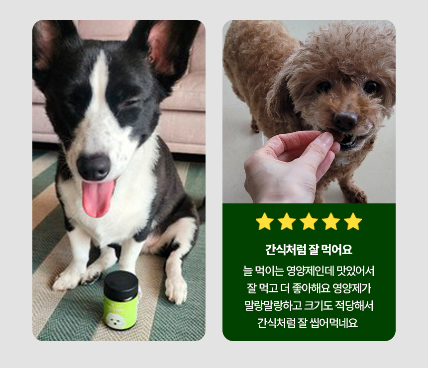 [무료배송] 목우촌 펫9단 독 바이오조인트 뼈 관절 영양제 100g 7번째