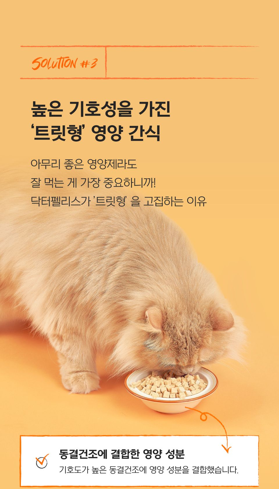 닥터펠리스 캣 유산균 오메가3 데일리솔루션 닭가슴살 30g 22번째