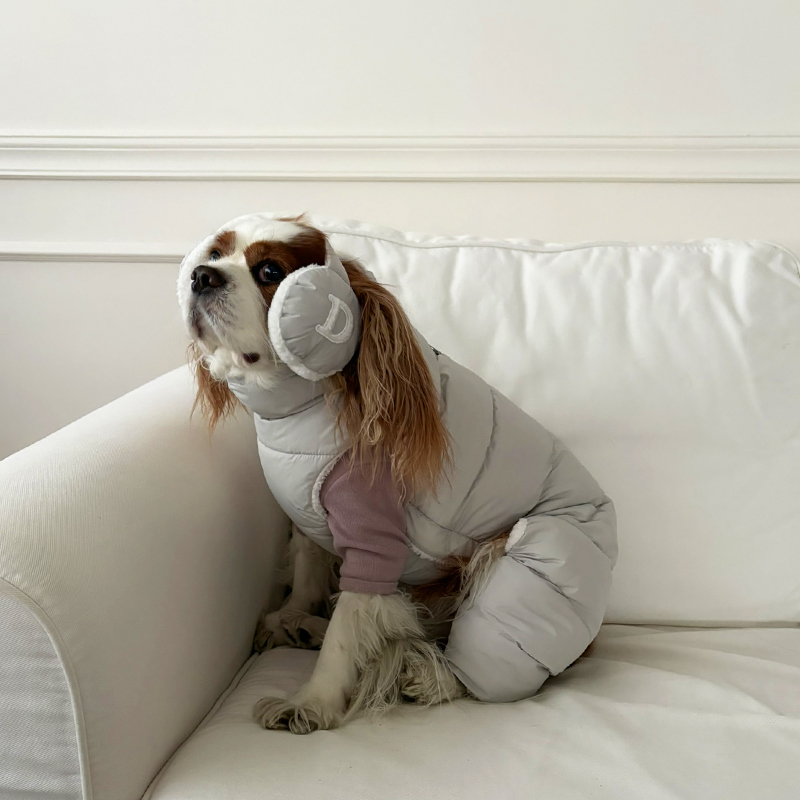 [NEW신상][무료배송] 해피댕댕 빵빵 귀마개&올인원 3종 (그레이,핑크,메론) S-2XL 7번째