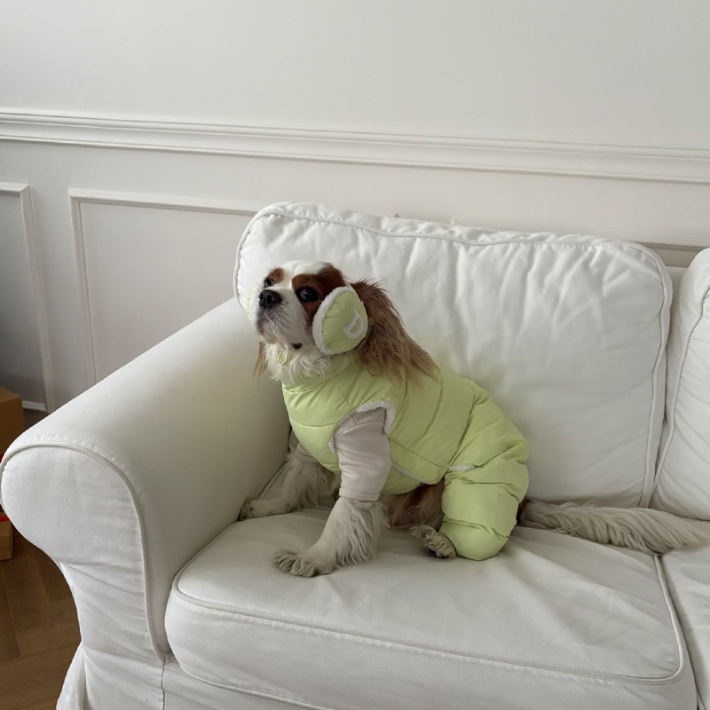 [NEW신상][무료배송] 해피댕댕 빵빵 귀마개&올인원 3종 (그레이,핑크,메론) S-2XL 16번째