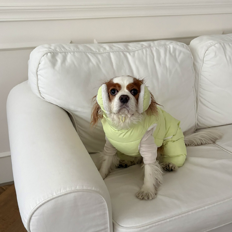 [NEW신상][무료배송] 해피댕댕 빵빵 귀마개&올인원 3종 (그레이,핑크,메론) S-2XL 17번째