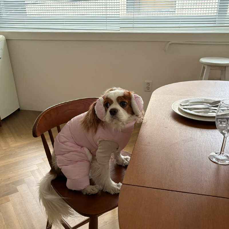 [NEW신상][무료배송] 해피댕댕 빵빵 귀마개&올인원 3종 (그레이,핑크,메론) S-2XL 11번째