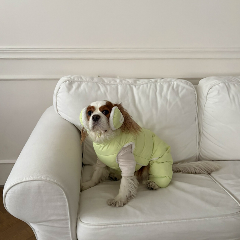 [NEW신상][무료배송] 해피댕댕 빵빵 귀마개&올인원 3종 (그레이,핑크,메론) S-2XL 19번째