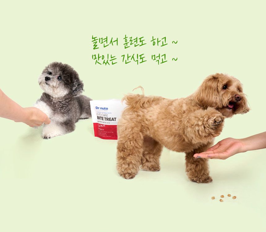 [창고대방출] 닥터뉴토 독 관절케어 바이트 트릿 오리 80g 11번째