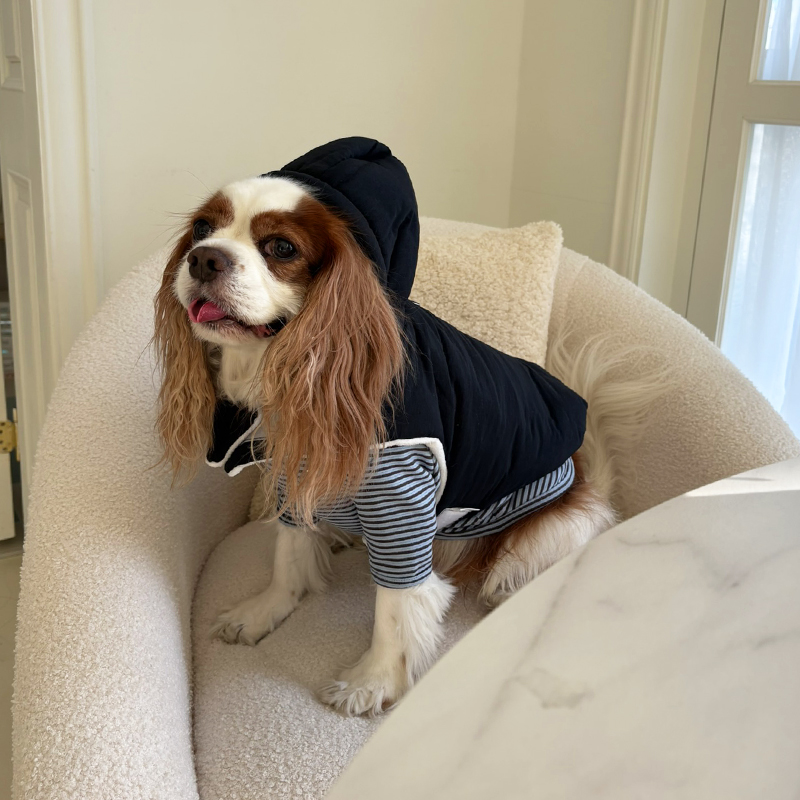 [NEW신상][무료배송] 해피댕댕 3초컷벨크로후드패딩 4종 (블랙,브라운,블루,옐로우) S-XL 11번째