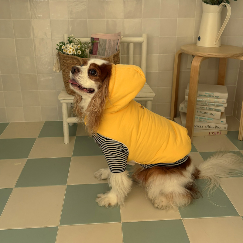 [NEW신상][무료배송] 해피댕댕 3초컷벨크로후드패딩 4종 (블랙,브라운,블루,옐로우) S-XL 29번째