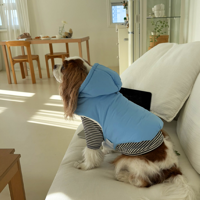 [NEW신상][무료배송] 해피댕댕 3초컷벨크로후드패딩 4종 (블랙,브라운,블루,옐로우) S-XL 25번째