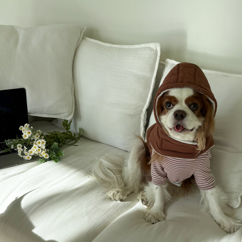 [NEW신상][무료배송] 해피댕댕 3초컷벨크로후드패딩 4종 (블랙,브라운,블루,옐로우) S-XL 16번째