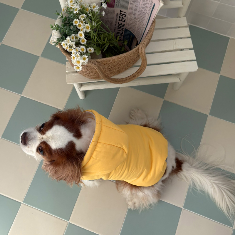 [NEW신상][무료배송] 해피댕댕 3초컷벨크로후드패딩 4종 (블랙,브라운,블루,옐로우) S-XL 30번째