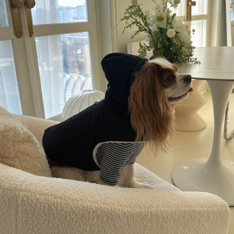 [NEW신상][무료배송] 해피댕댕 3초컷벨크로후드패딩 4종 (블랙,브라운,블루,옐로우) S-XL 12번째