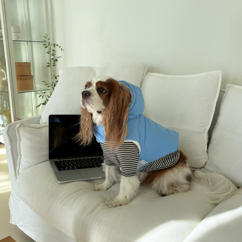 [NEW신상][무료배송] 해피댕댕 3초컷벨크로후드패딩 4종 (블랙,브라운,블루,옐로우) S-XL 24번째