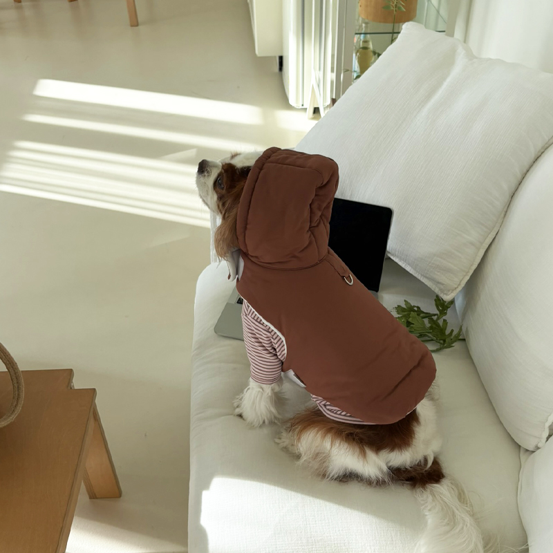 [NEW신상][무료배송] 해피댕댕 3초컷벨크로후드패딩 4종 (블랙,브라운,블루,옐로우) S-XL 17번째