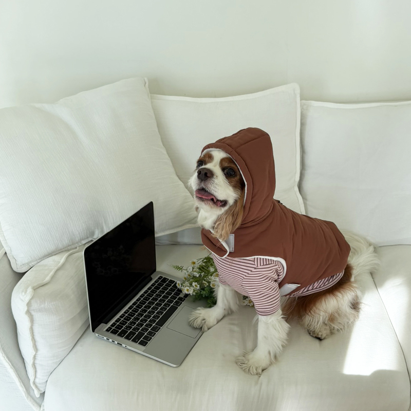 [NEW신상][무료배송] 해피댕댕 3초컷벨크로후드패딩 4종 (블랙,브라운,블루,옐로우) S-XL 18번째