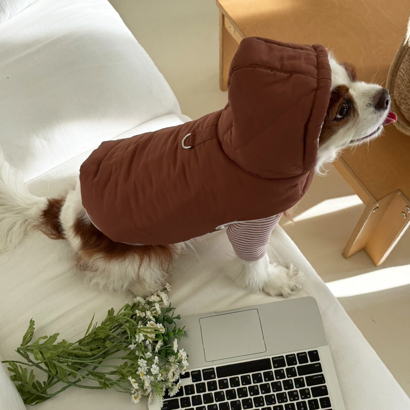 [NEW신상][무료배송] 해피댕댕 3초컷벨크로후드패딩 4종 (블랙,브라운,블루,옐로우) S-XL 19번째