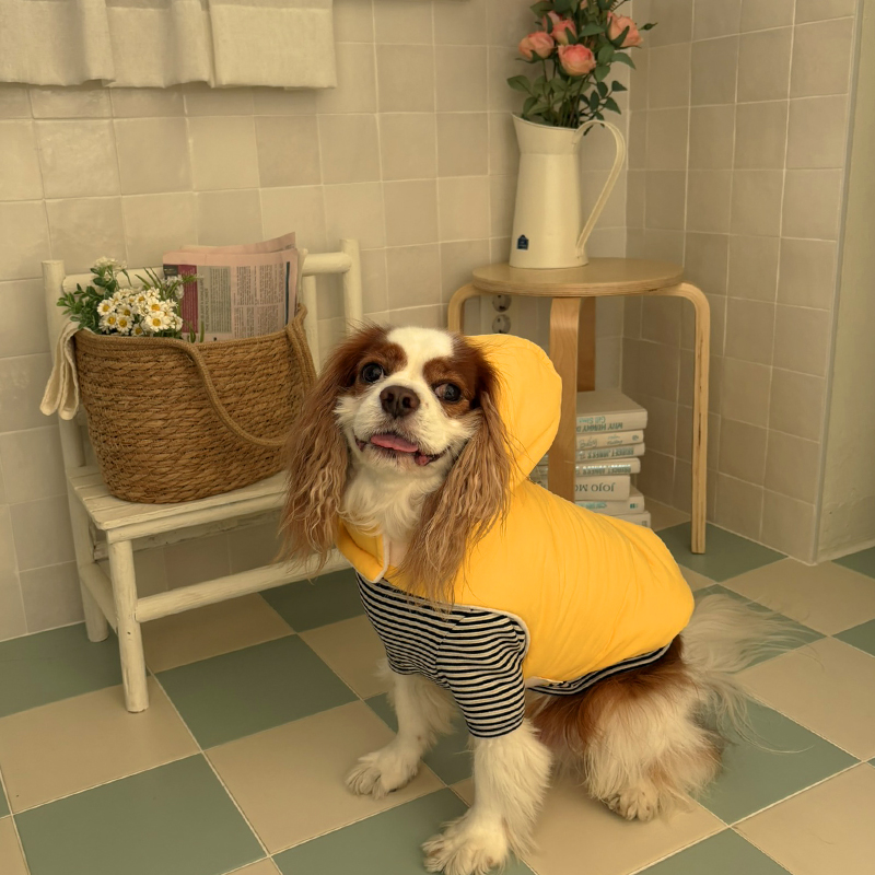 [NEW신상][무료배송] 해피댕댕 3초컷벨크로후드패딩 4종 (블랙,브라운,블루,옐로우) S-XL 28번째