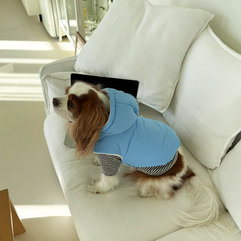 [NEW신상][무료배송] 해피댕댕 3초컷벨크로후드패딩 4종 (블랙,브라운,블루,옐로우) S-XL 23번째