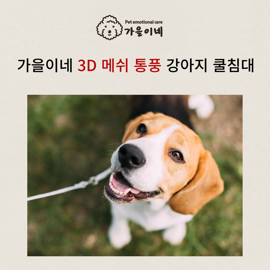 [무료배송]  가을이네 독 3D 메쉬 쿨 침대 아이보리/블루 1번째