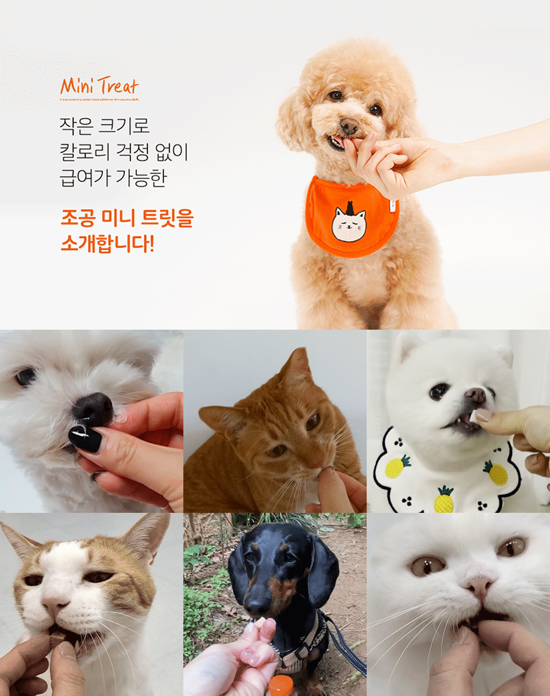 조공 미니트릿 가자미 55g 2번째