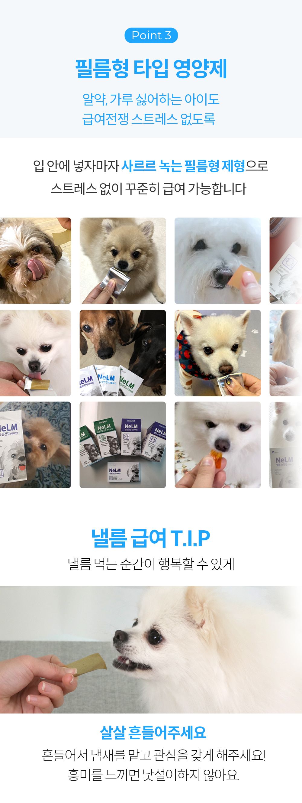 [추가증정] 미펫 낼름 구강 30매입 + 10매입 증정 7번째