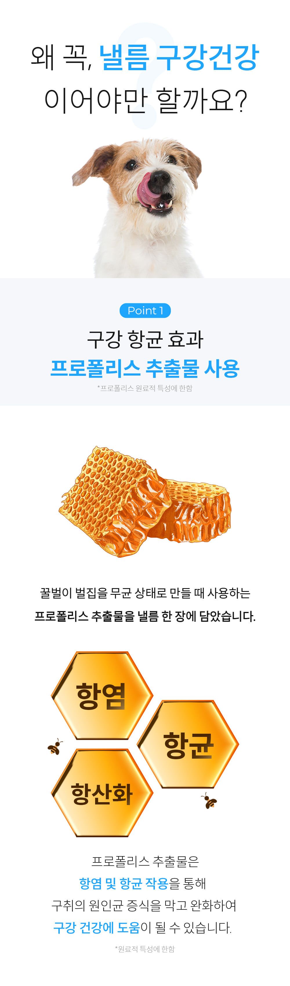 [추가증정] 미펫 낼름 구강 30매입 + 10매입 증정 5번째