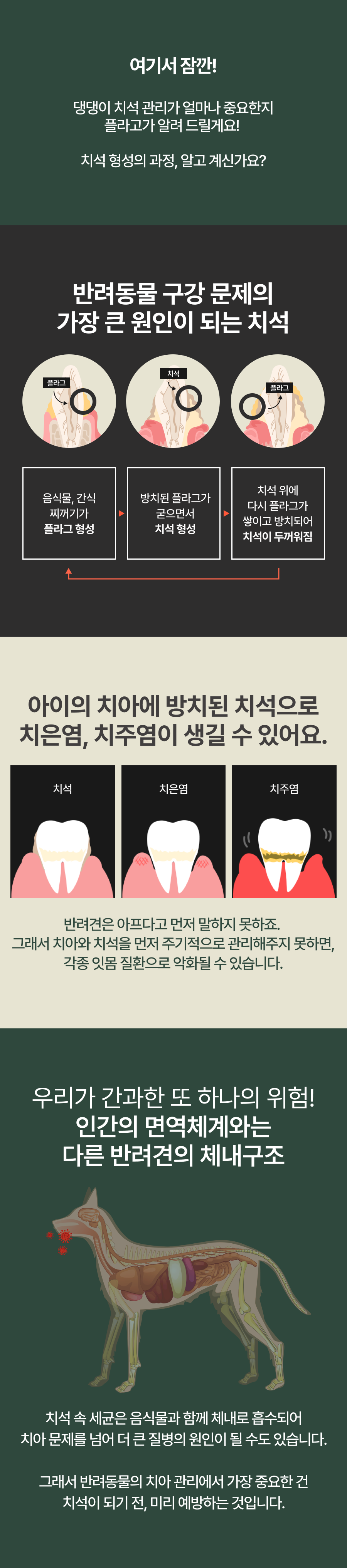 [NEW신상]플라고 3D 덴탈껌 꿀고구마 7개입 13번째