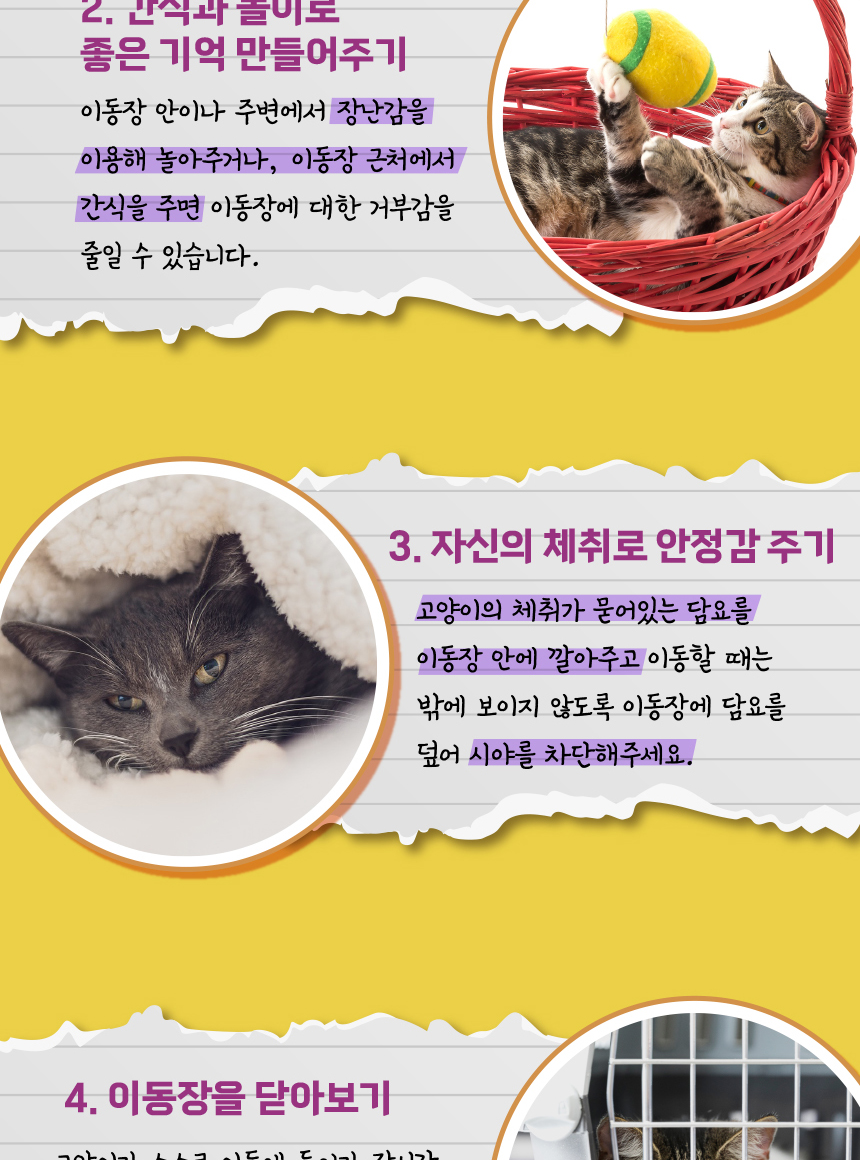 [무료배송] 애구애구 접이식 켄넬 M/L 10번째