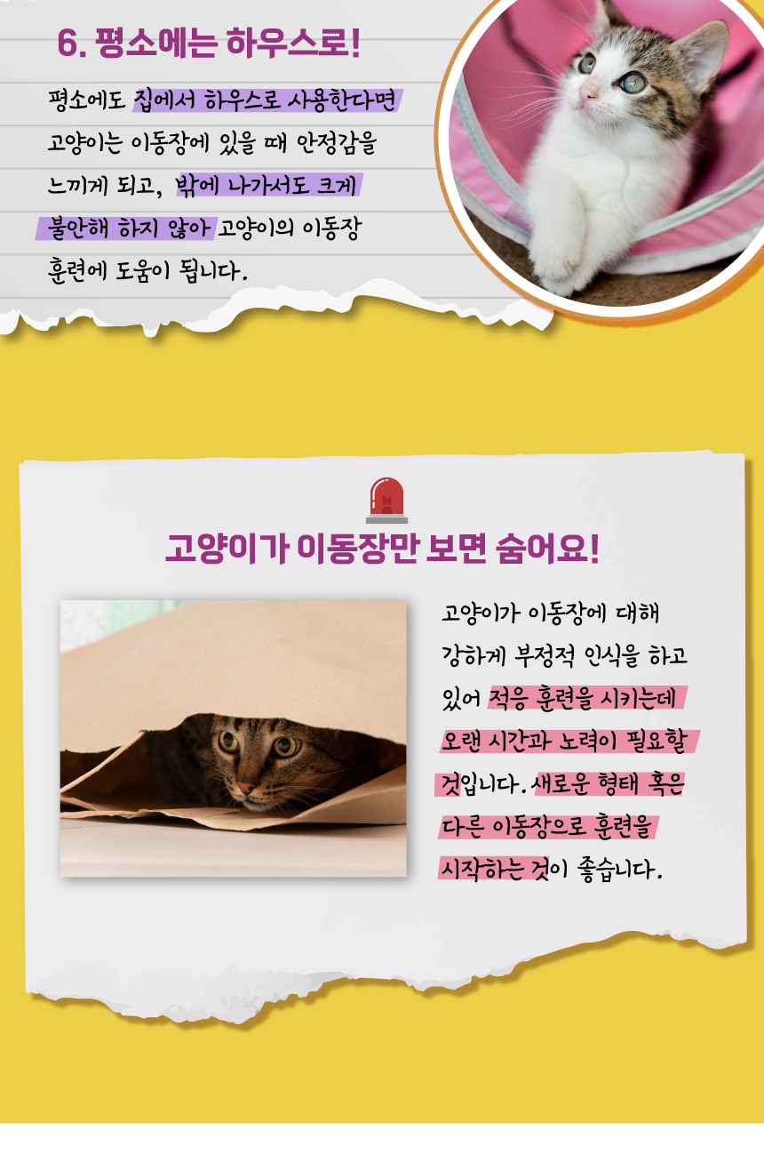 [무료배송] 애구애구 접이식 켄넬 M/L 12번째