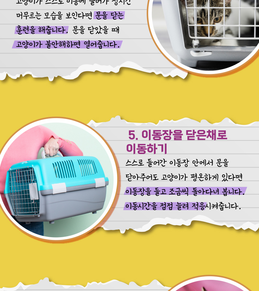 [무료배송] 애구애구 접이식 켄넬 M/L 11번째