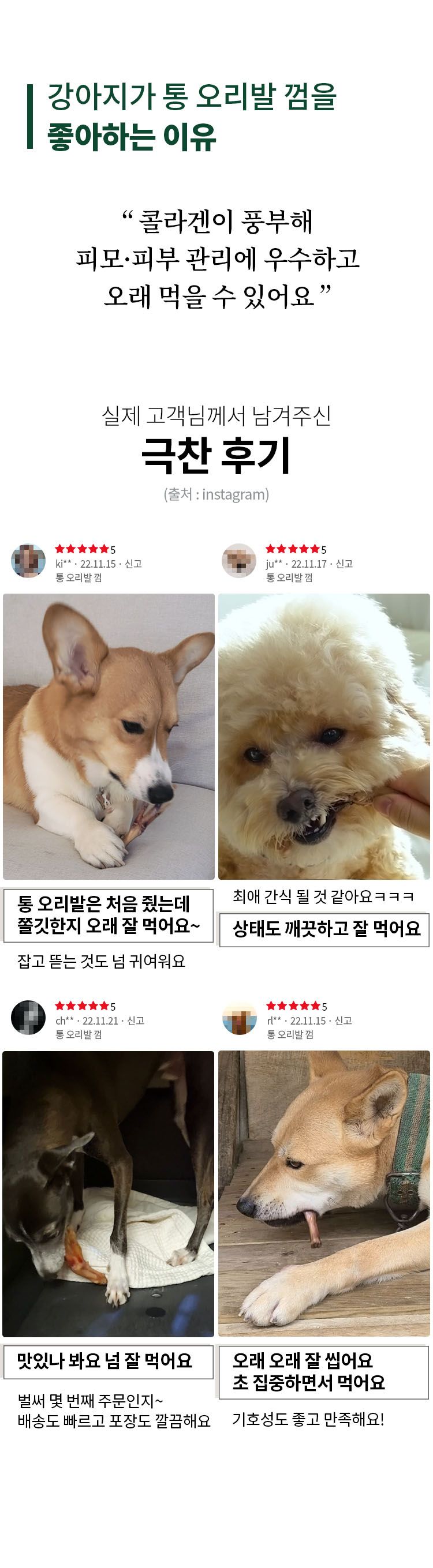 [무료배송] 펫쉴드 독 통 오리발 껌 2번째