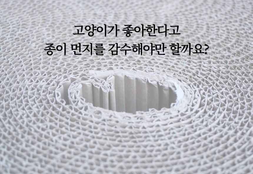 [NEW신상][무료배송] 캣츠크라프트 고강도 평판 벽부착 스크래쳐 3종 4번째