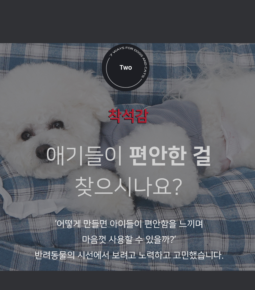 [NEW신상][무료배송] 개과천선 소파 방석 (엘로우/민트/덕블루) 11번째