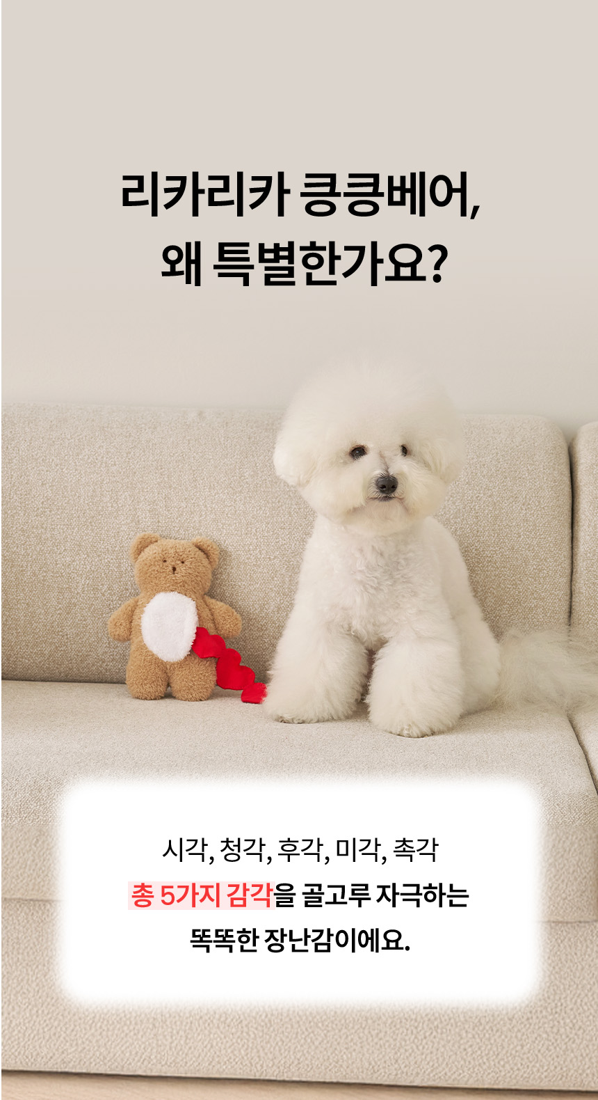 [무료배송] 리카리카 킁킁베어 노즈워크 장난감 4번째