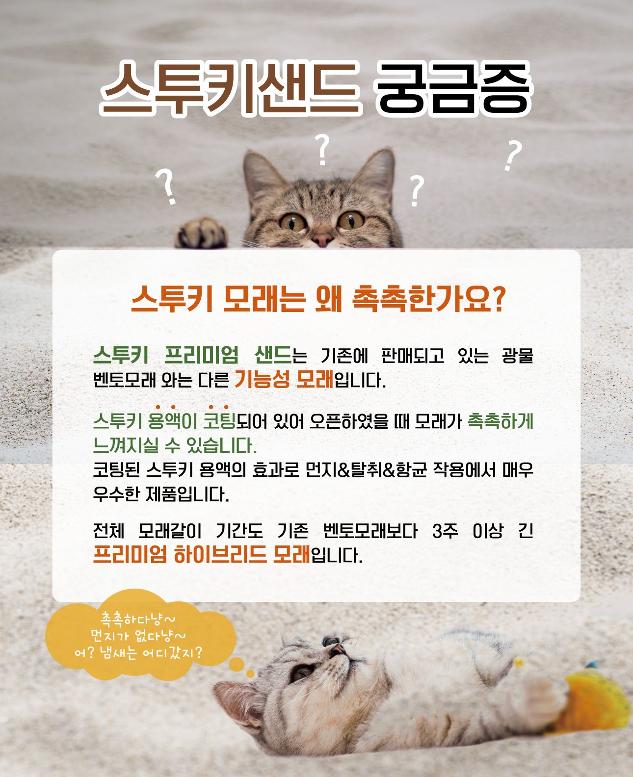 스투키 25샌드 무향 6.2kg 2번째