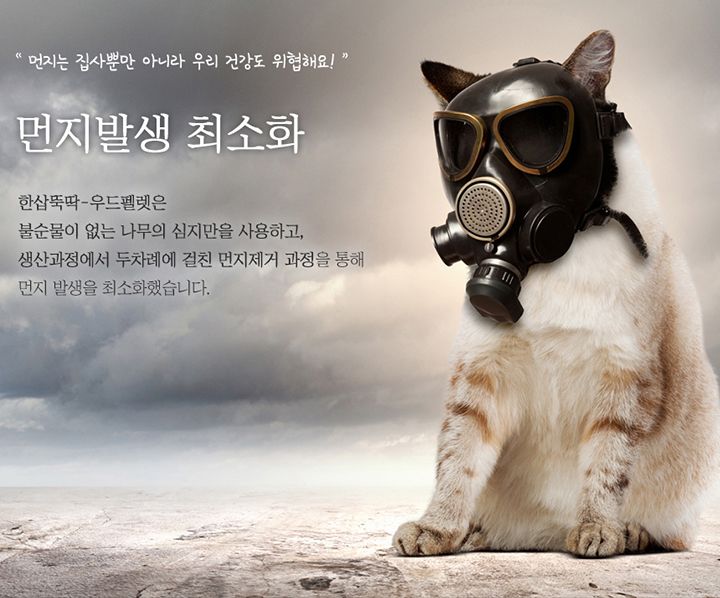 [무료배송] 펫토리아 한삽뚝딱 정량 벤토나이트/두부/우드펠렛 먼지없는 고양이 모래 [모음] 4번째