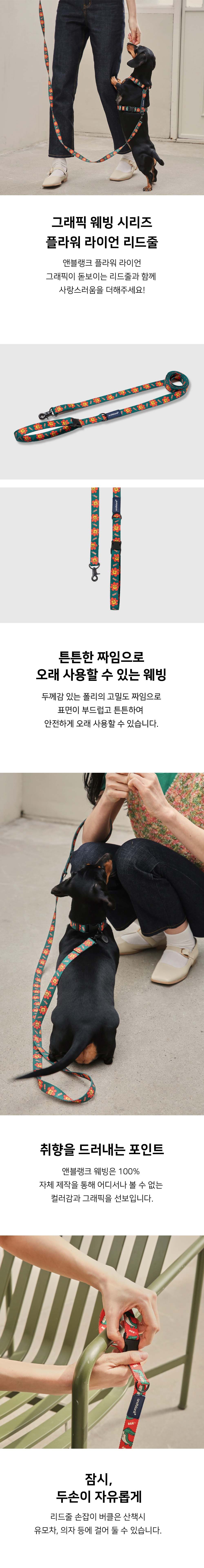 [무료배송] 앤블랭크 플라워 라이언 리드줄 1번째