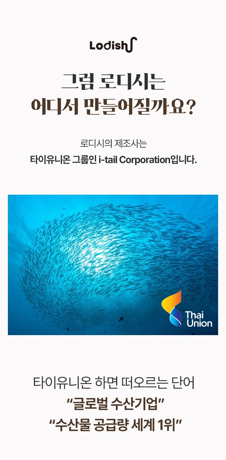 로디시 캣 참치 그레이비 캔 85g 13번째