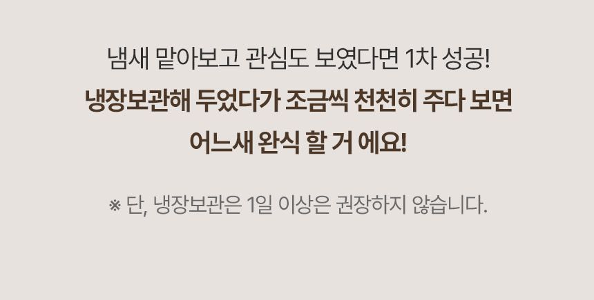 로디시 캣 참치 그레이비 캔 85g 12번째