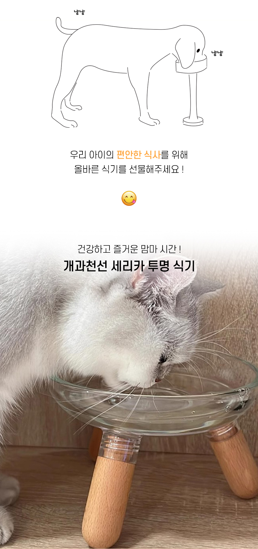 [NEW신상][무료배송] 개과천선 세리카 투명 식기 1구 2번째