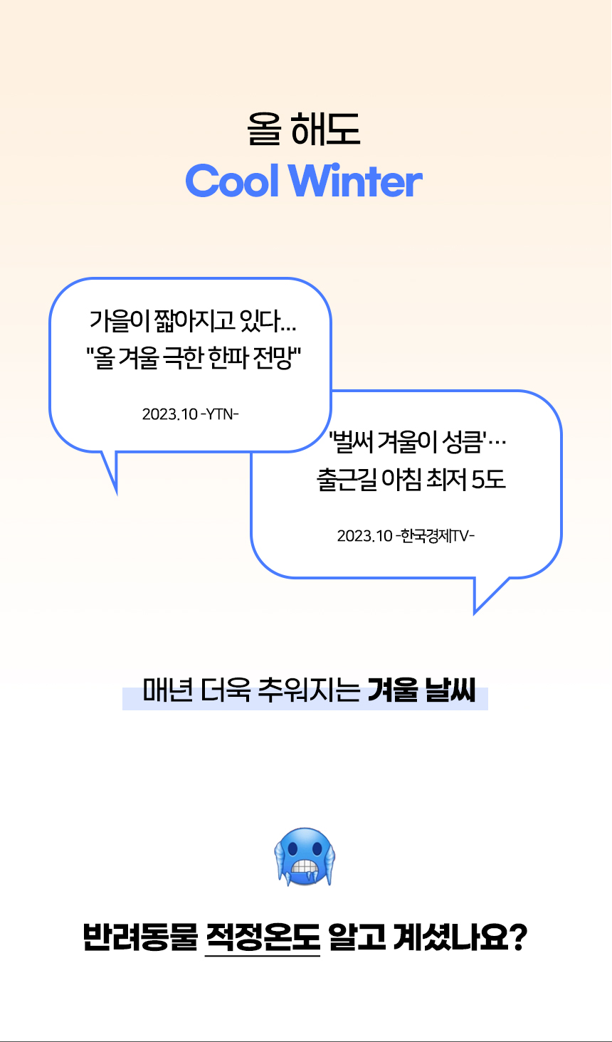 [NEW신상][무료배송] 개과천선 티티 털 방석 (오렌지/블루 그레이) 2번째