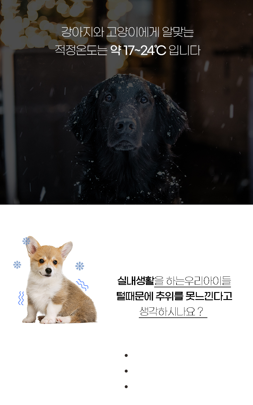[NEW신상][무료배송] 개과천선 티티 털 방석 (오렌지/블루 그레이) 3번째
