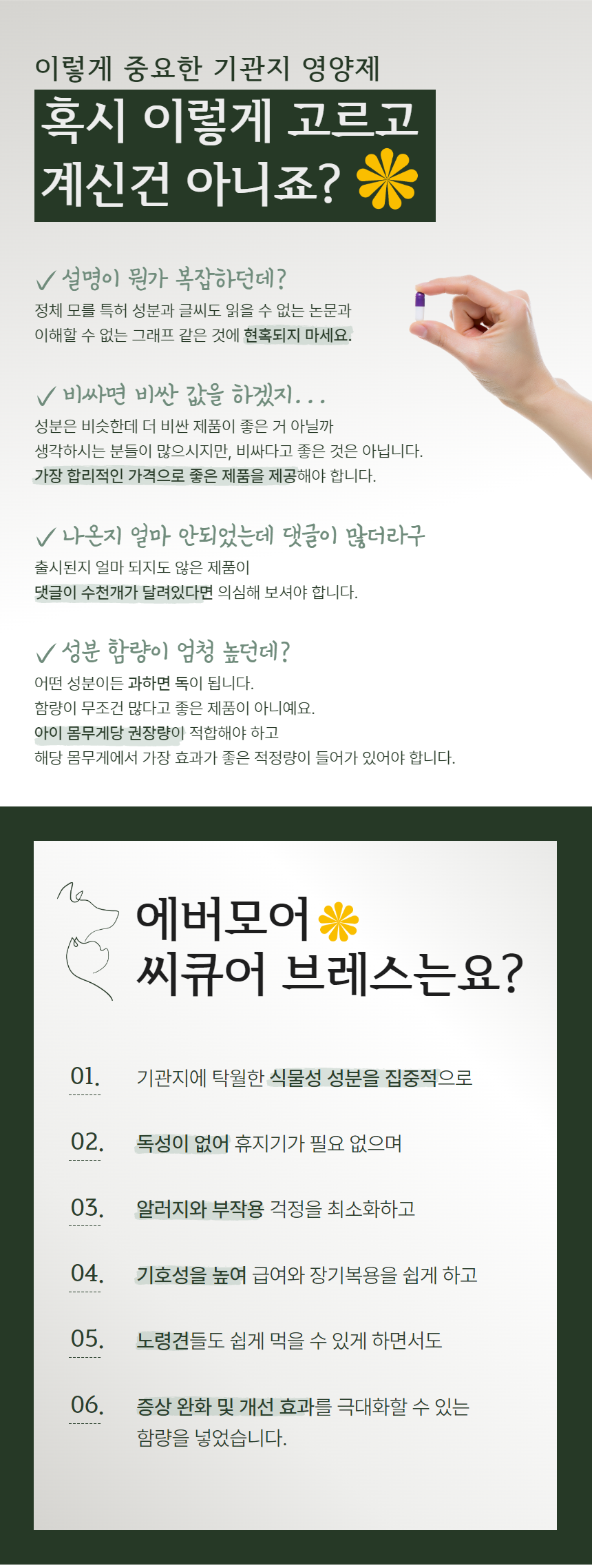 [무료배송] 에버모어 씨큐어 브레스 기관지영양제 120g 2번째